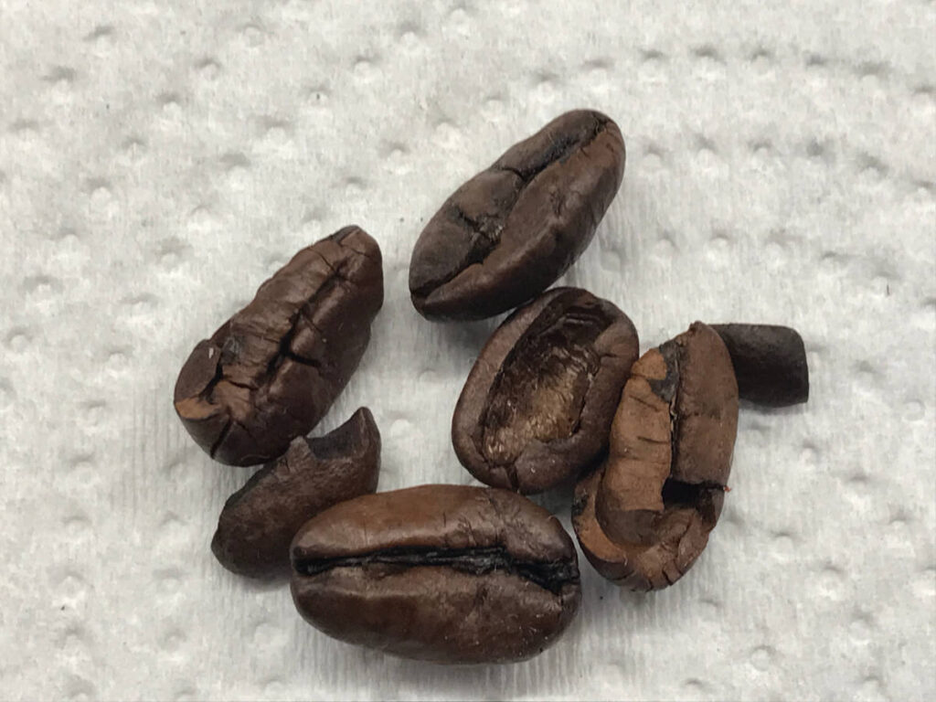 Dark-roast liberica beans sitting on a white cloth.