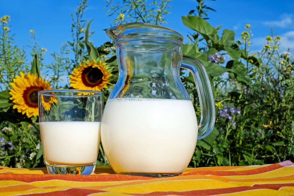 a glass of milk with a jug of milk on a wood surface. Sunflowers in the background.