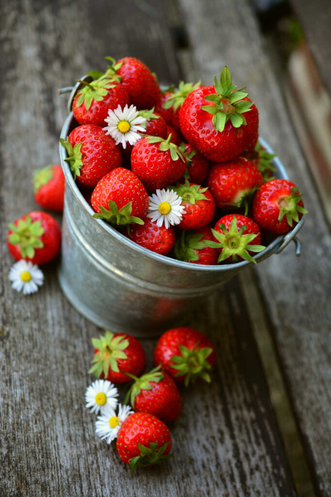 A bucket of freshly picked strawberries, with some daisies amongst them.